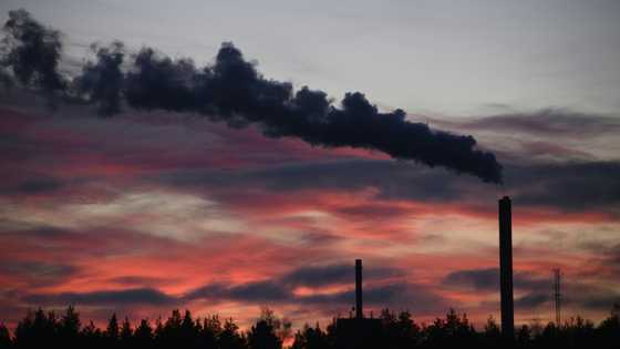 World's fossil fuel emissions to hit new record in 2025: study