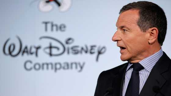 Disney chief says Florida punishing its free speech