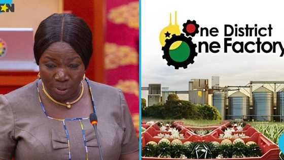 Government cancels 1D1F programme, shifts focus to 24-Hour Economy