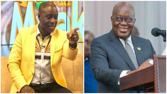 Captain Smart claims he rejected two ministerial appointments from Akufo-Addo