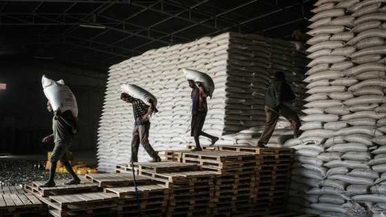 Aid halted to Ethiopia's Tigray, UN says, as fighting escalates