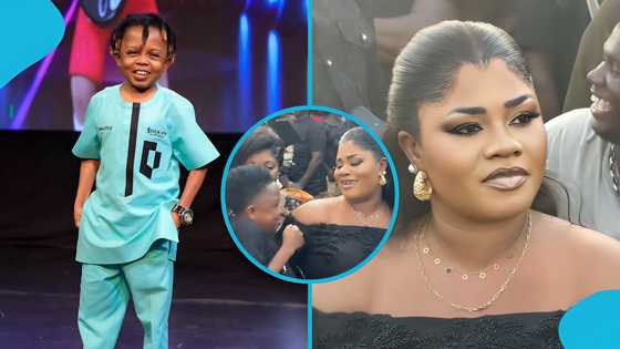 Don Little meets Obaapa Christy, refuses to let go as he enjoys special 'baby treatment'