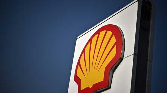 Shell abandons huge biofuel project in Netherlands