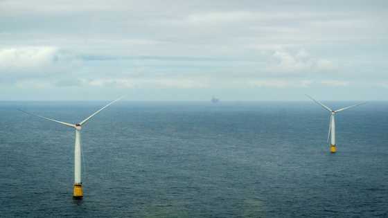 Norway opens world's biggest floating wind park
