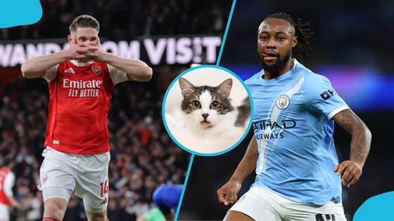 Mysterious cat predicts winner of Arsenal vs Man City Carabao Cup final