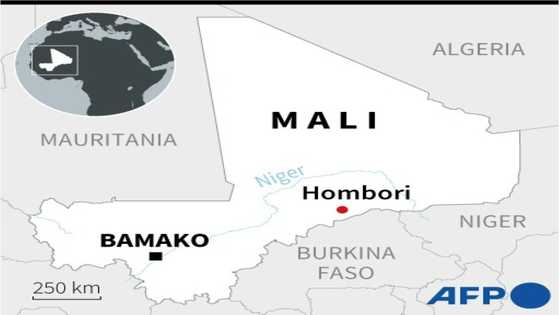 50 civilians die in sweep by Malian and 'foreign' troops: UN 