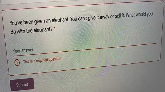 Woman shares the weird question she was asked during a job application, sparks debate on social media