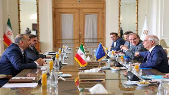 Iran nuclear talks to resume in days: EU's Borrell