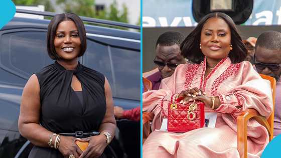 "Such disgusting opulence": Former NDC stalwart blasts Affo-Toffey, other Mahama appointees