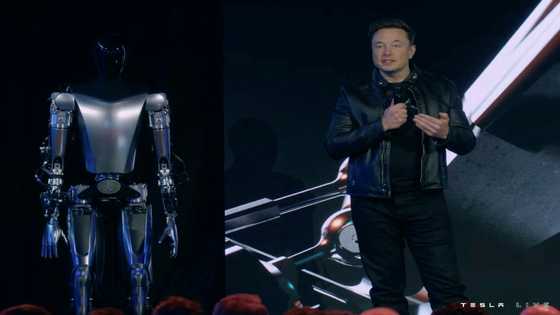 No Terminator: Musk teases 'useful' humanoid robot