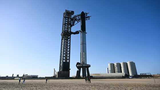 US regulator greenlights Starship's next launch on Friday