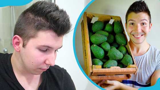 Where is Nikocado Avocado now? All about the rise and fall of the YouTube star