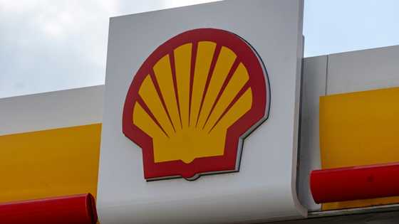 Shell's net profit jumps despite lower oil prices