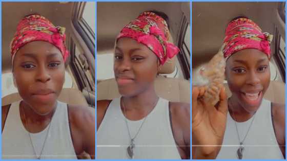 Ghanaian lady laments in TikTok video over GH¢5 tiger nuts: "I should have bought porridge instead"