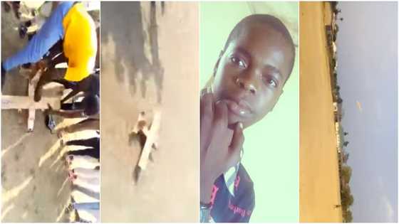 Jubilation as talented boy builds 'aeroplane' and flies it, sends social media into frenzy