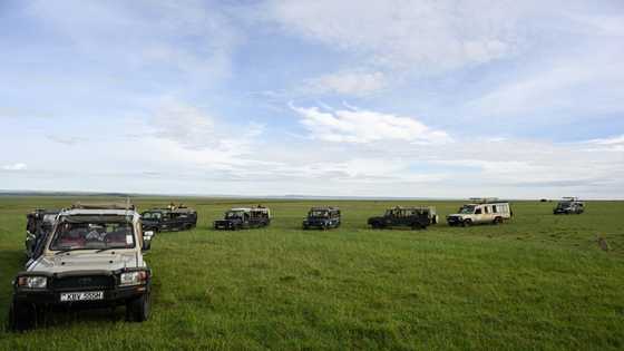 Kenya tourist revenue climbs above pre-Covid levels