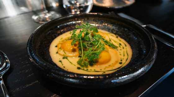 Finland's wizards making food out of thin air