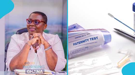"Jail men for cheating, if women are sanctioned for paternity fraud": NPP communicator says