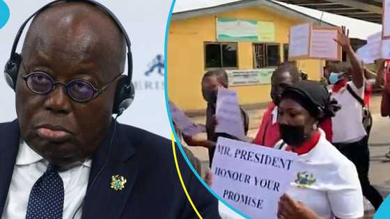 NABCo trainees threaten mega demo at Jubilee House, demand payment of their arrears