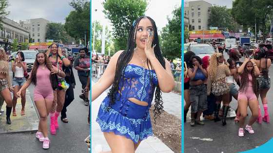 Moliy and dancers cause traffic in The Bronx, dance to Shake It To The Max, video causes a stir