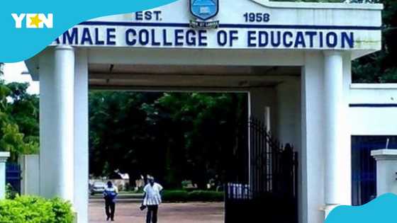 PRINCOF appeals to CETAG to call off strike after government intervention