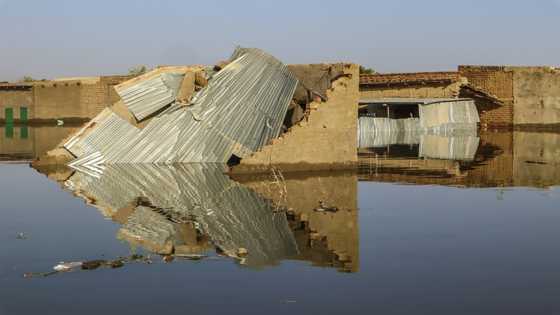 Chad floods leave victims in despair