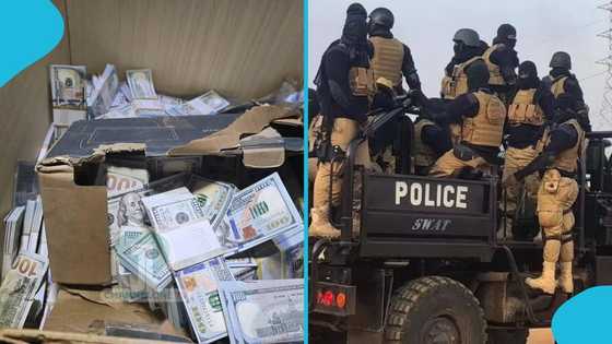 Huge stash of dollars, gold bars, counterfeit currency intercepted at Sapeiman by National Security