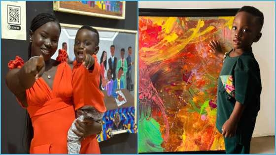 Guinness World Records: Six paintings that made one-year-old Ghanaian a world record holder surface in video