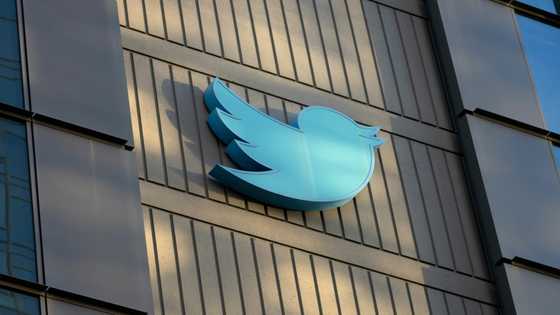 Trolls flooded Twitter with slurs to test Musk, safety chief says
