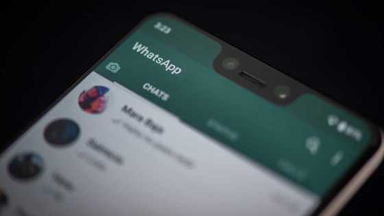 Silent Exit: WhatsApp Will Soon Allow Users to Leave Unwanted Groups without Everyone's Knowledge