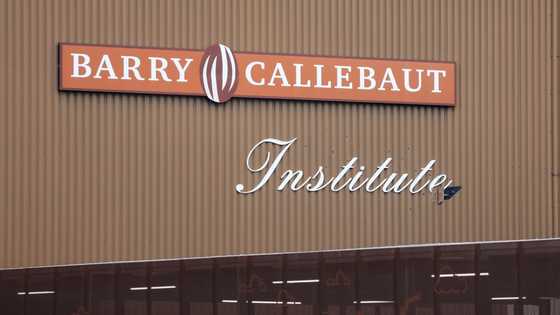 Swiss chocolate giant Barry Callebaut may cut 18% of jobs