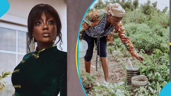 Efya reveals her interest in farming and talks about her reason for not supporting beef