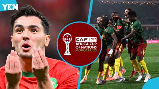 AFCON quarterfinal: TV stations showing Cameroon vs Morocco