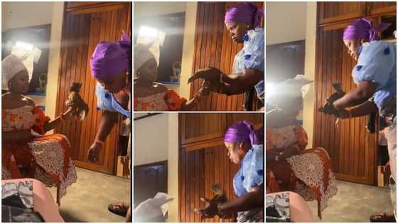 I won't marry again: Reactions as mother gives bride live fowl to hold during her traditional wedding