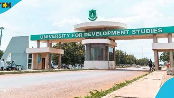 Chaos at UDS as armed men reportedly disrupt Vice Chancellor appointment meeting