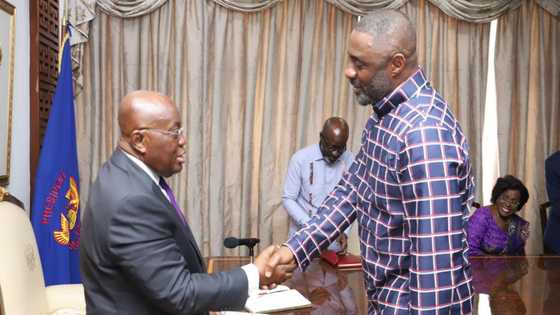 Idris Elba pitches modern film studio to Akufo Addo, news excites many Ghanaians