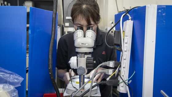 Japan's SMEs ready to adapt to Trump tariffs