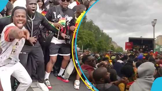 Ghanaians in Berlin celebrate with Mahama’s campaign anthem at carnival of cultures