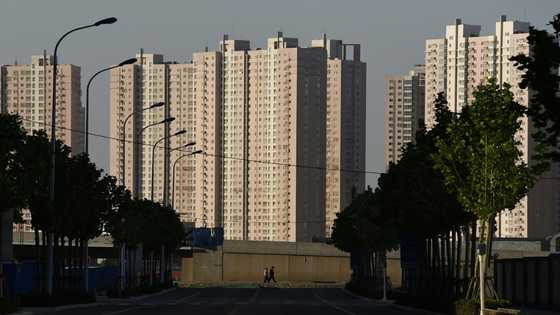 Hong Kong, Shanghai lead Asia losses as China rate cut falls flat