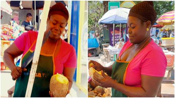 Confident GH female coconut vendor at Korle Bu praised for her amazing customer service: “Unbeatable”
