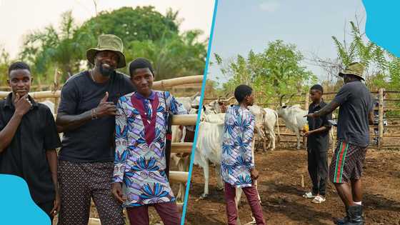 Ex-Arsenal Star Pays School Fees for Two Young Farmers Tending His Cows