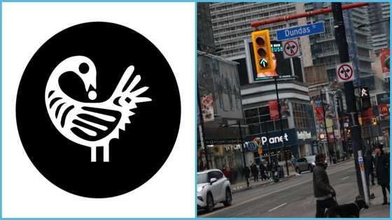 Canadian street, public square to be named after GH Andinkra symbol, Sankofa: "Proudly Ghanaian"