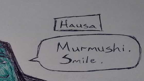 These Hausa phrases will make learning the language easier