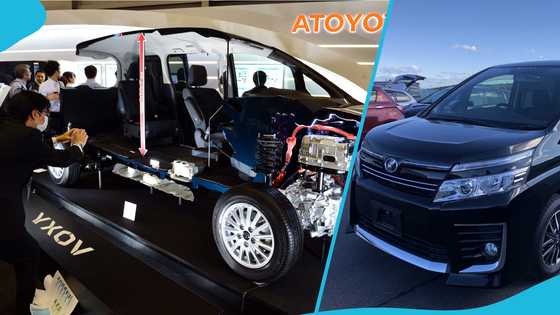 The troubling factors linked to Toyota Voxy accident cases finally explained