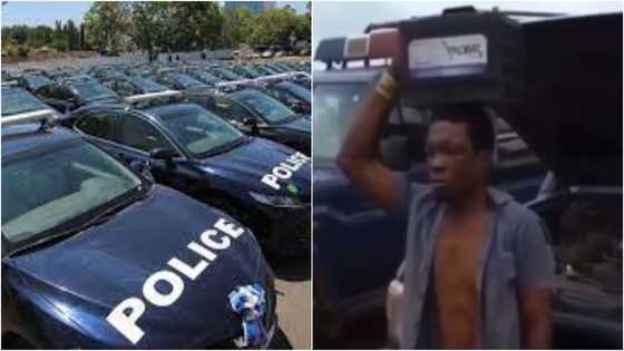 Odeshi: Ghanaian man arrested after stealing police patrol car battery; many react to viral video