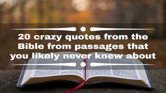 20 crazy quotes from the Bible from passages that you likely never knew about