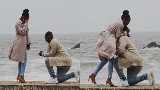 Photographer on tour spots unknown couple's proposal from afar & captures sweet moment