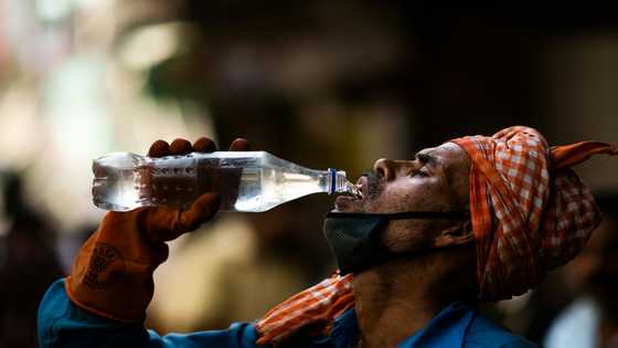 'Dangerous' heatwaves likely to grip the tropics daily by 2100: study
