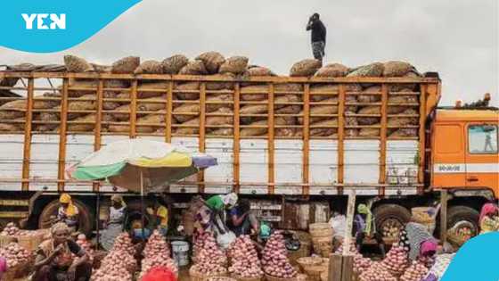 Ghana-bound trucks carrying vegetables held in Nigeria