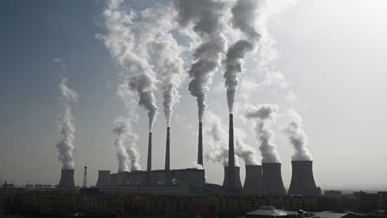 China speeding up approvals for new coal plants: Greenpeace